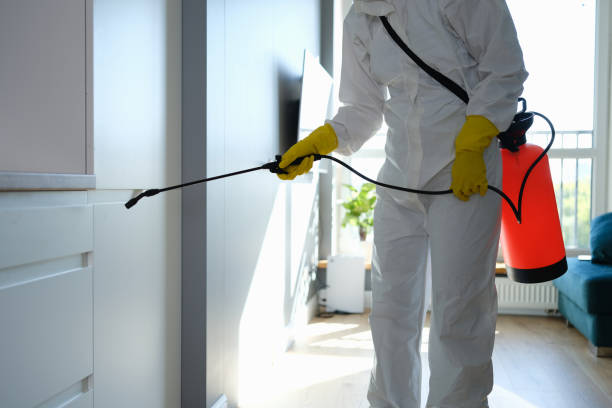 Best Fast Mold Removal  in Pekin, IL