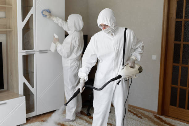 Best Attic Mold Removal  in Pekin, IL